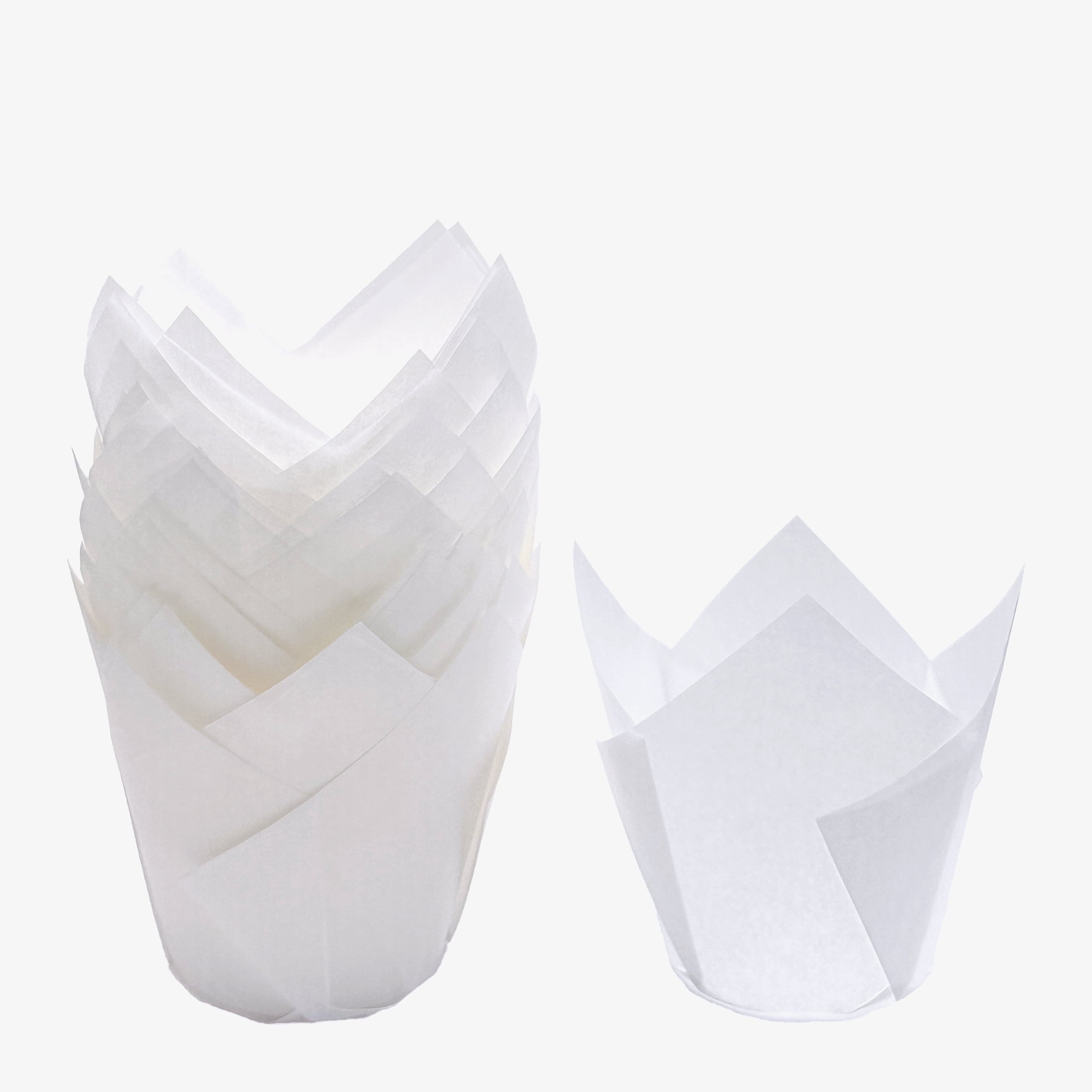 White Tulip Baking Cups, 24 Count, by Way To Celebrate - Image 2