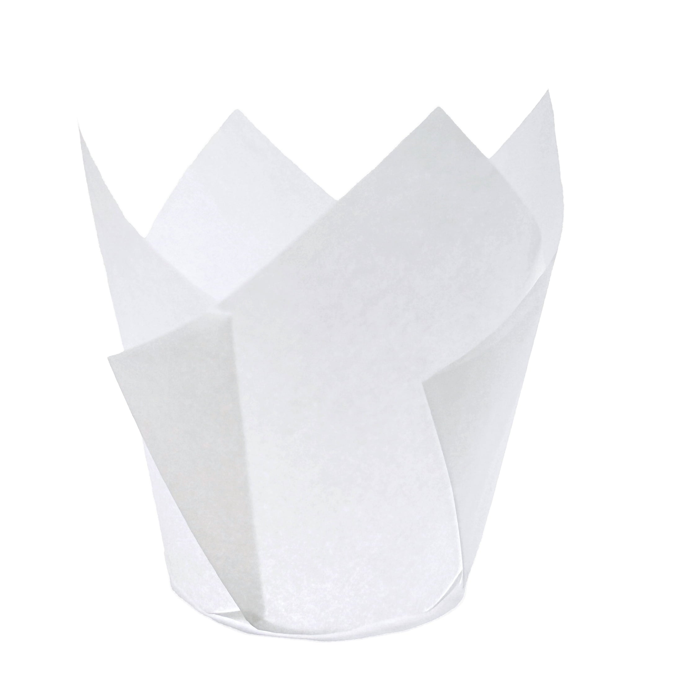 White Tulip Baking Cups, 24 Count, by Way To Celebrate - Image 4
