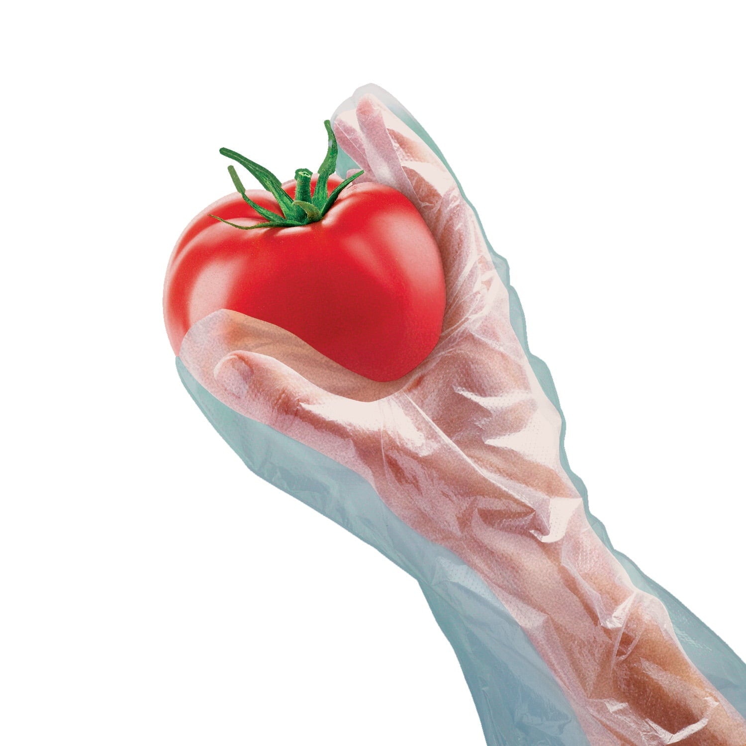Great Value Disposable Poly Food Gloves, 120-Count, Latex-Free, One Size Fits Most - Image 3